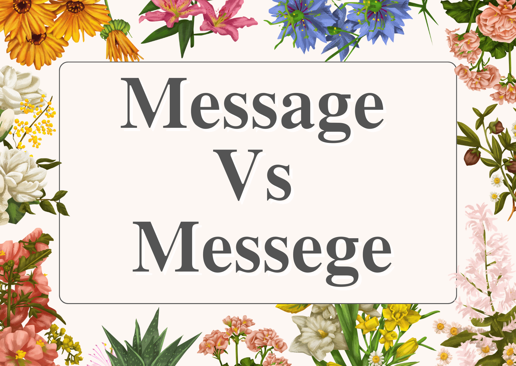 Messege Vs Message – Correct Spelling + Examples