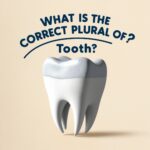 What is the Correct Plural Of Tooth?