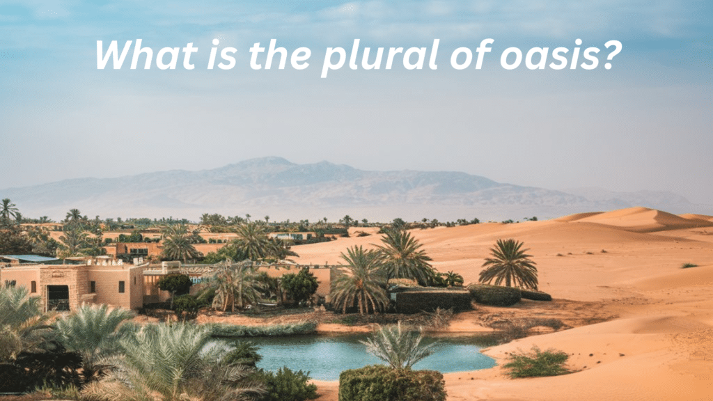 What is the plural of oasis?