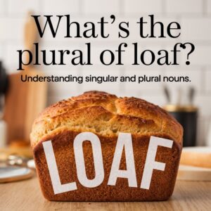 What's the Plural of Loaf Understanding Singular and Plural Nouns