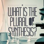 What is the Plural of “Synthesis”?